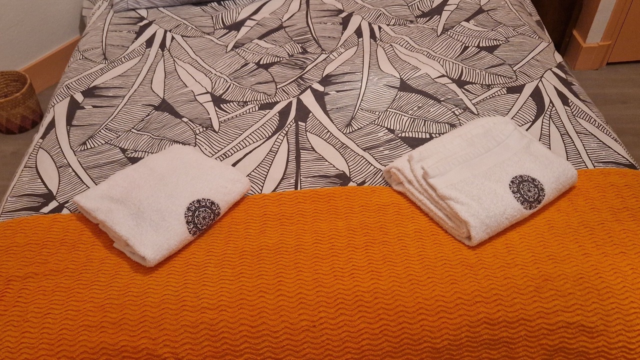 Photo of Bedroom in Le Puy-en-Velay