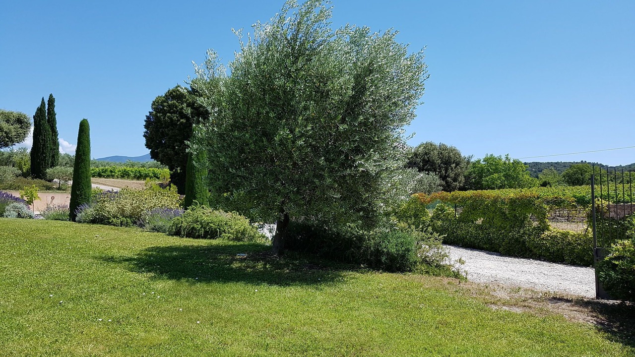 Photo of Outdoor in Saint-Pierre-de-Vassols