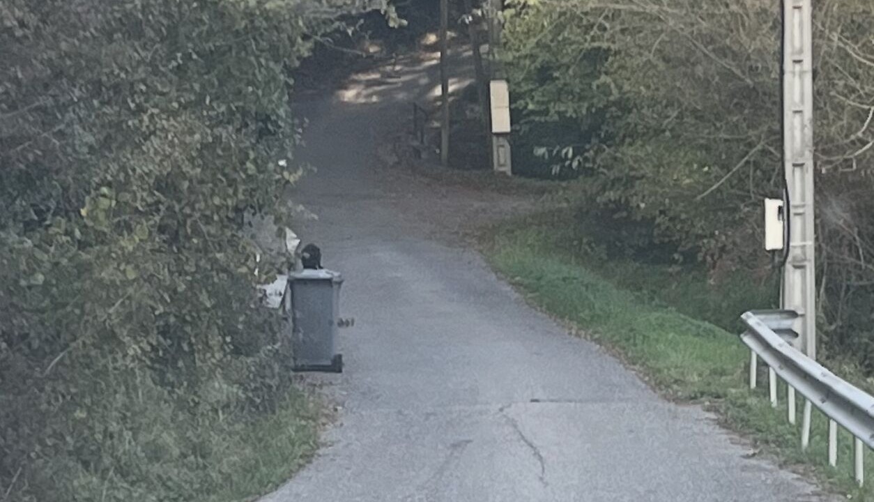 Photo of Others in Fillinges