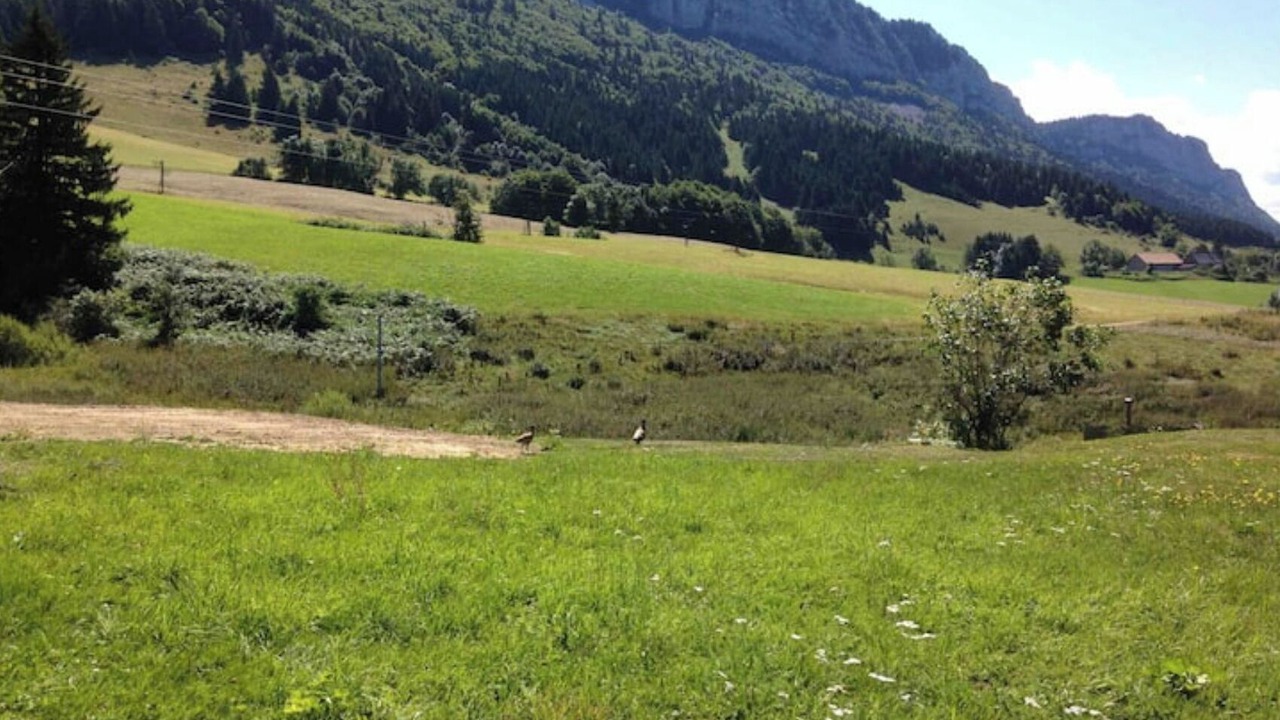 Photo of Others in Rencurel