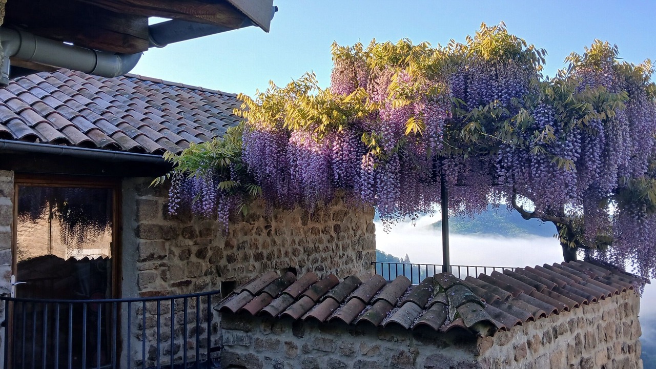 Photo of Others in Gluiras