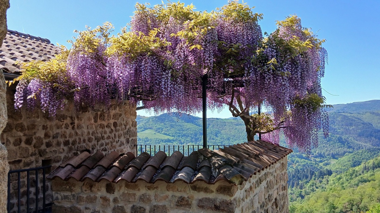 Photo of Outdoor in Gluiras