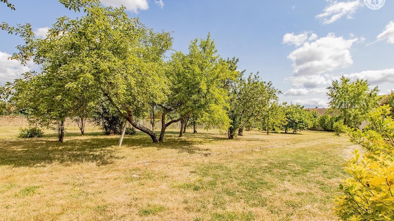 Photo of Outdoor in Joncy