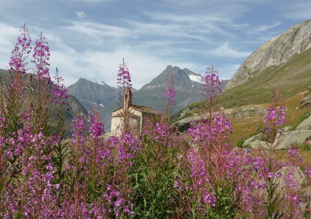 Photo of Others in Bessans