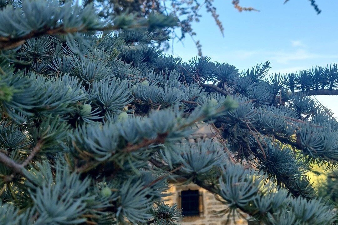 Photo of Outdoor in Le Villars