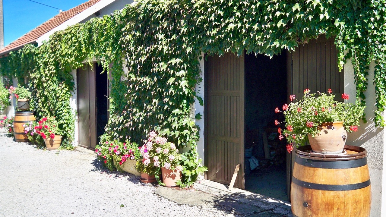 Photo of Outdoor in Comblanchien