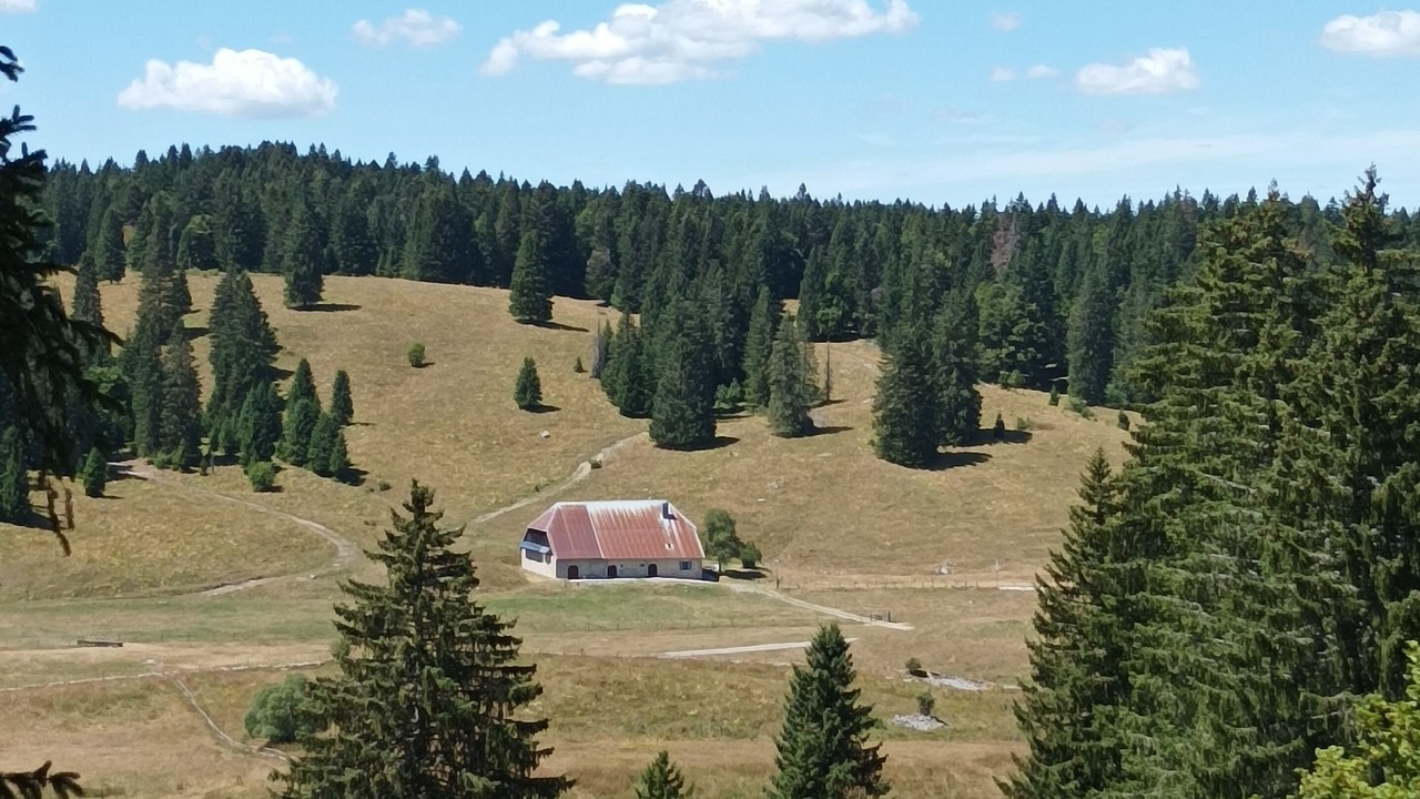Photo of Others in Doucier