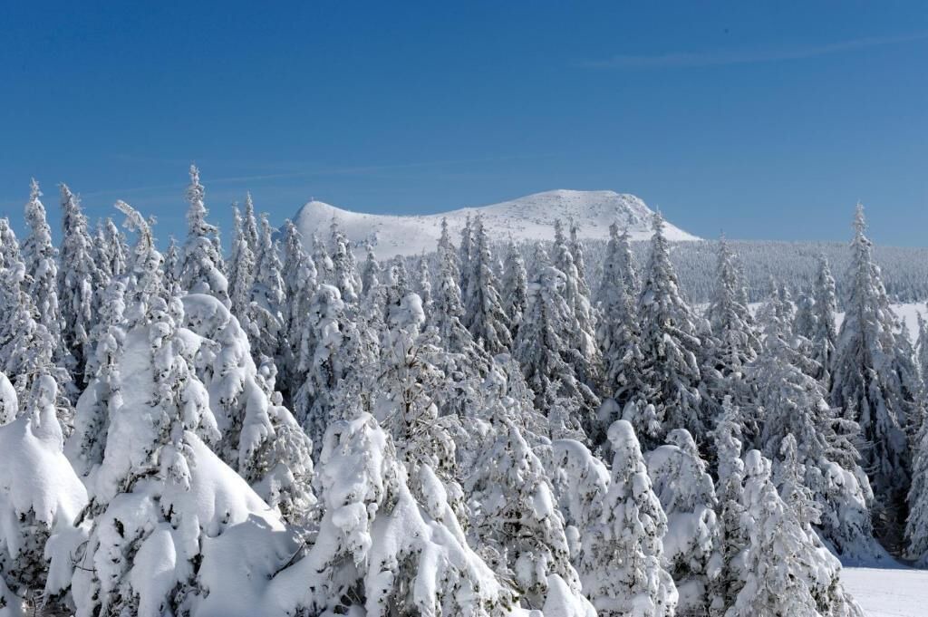 Photo of Outdoor in Les Estables