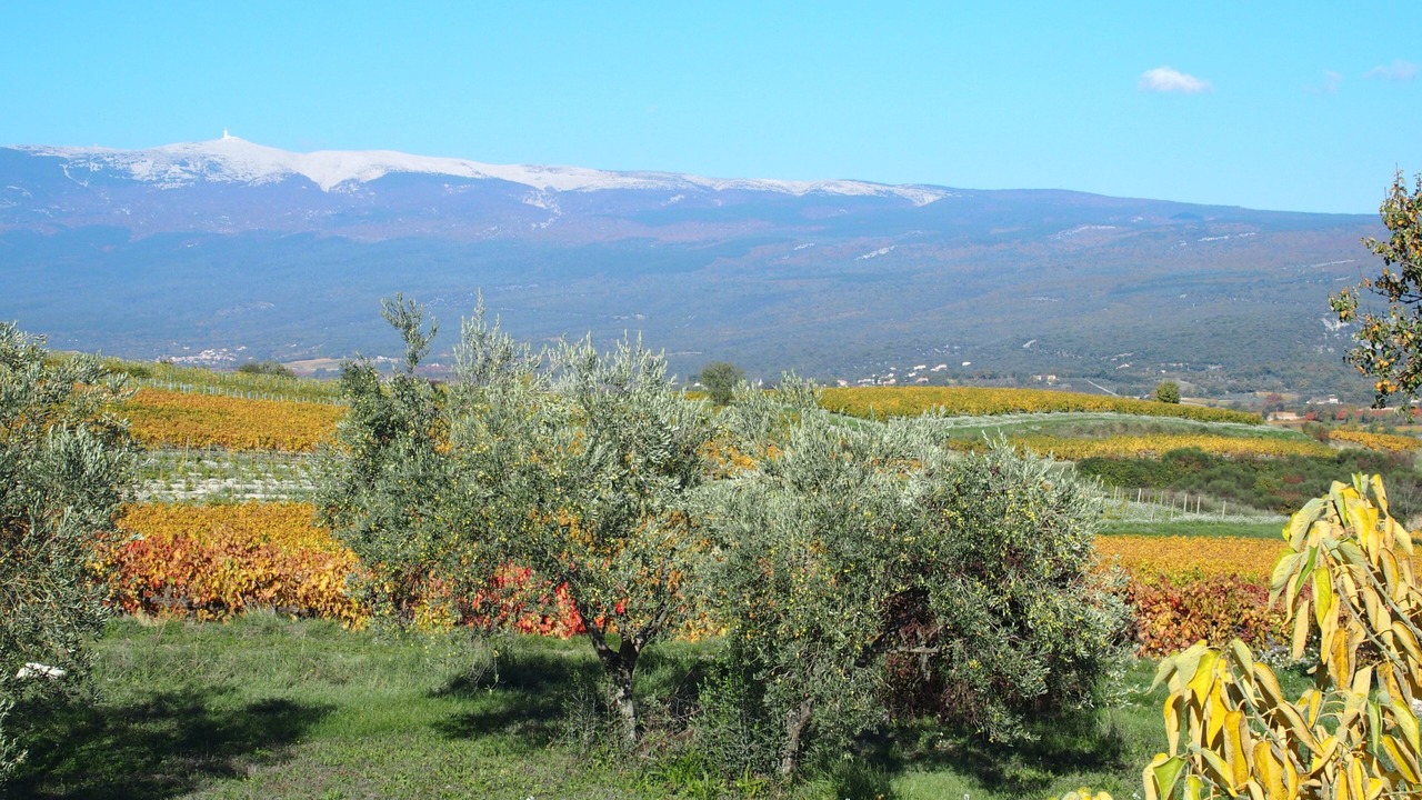 Photo of Outdoor in Blauvac