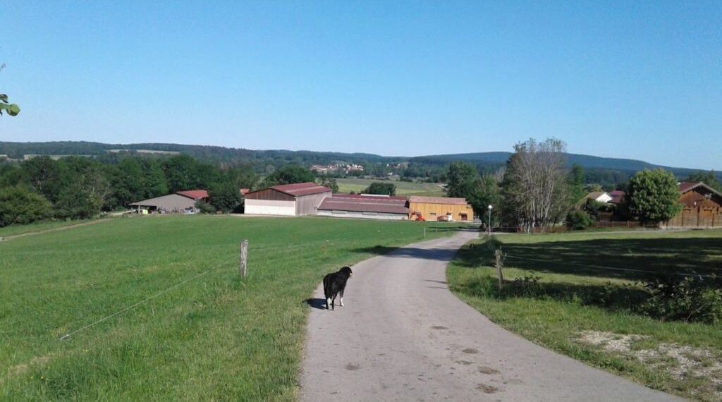 Photo of Outdoor in Le Latet