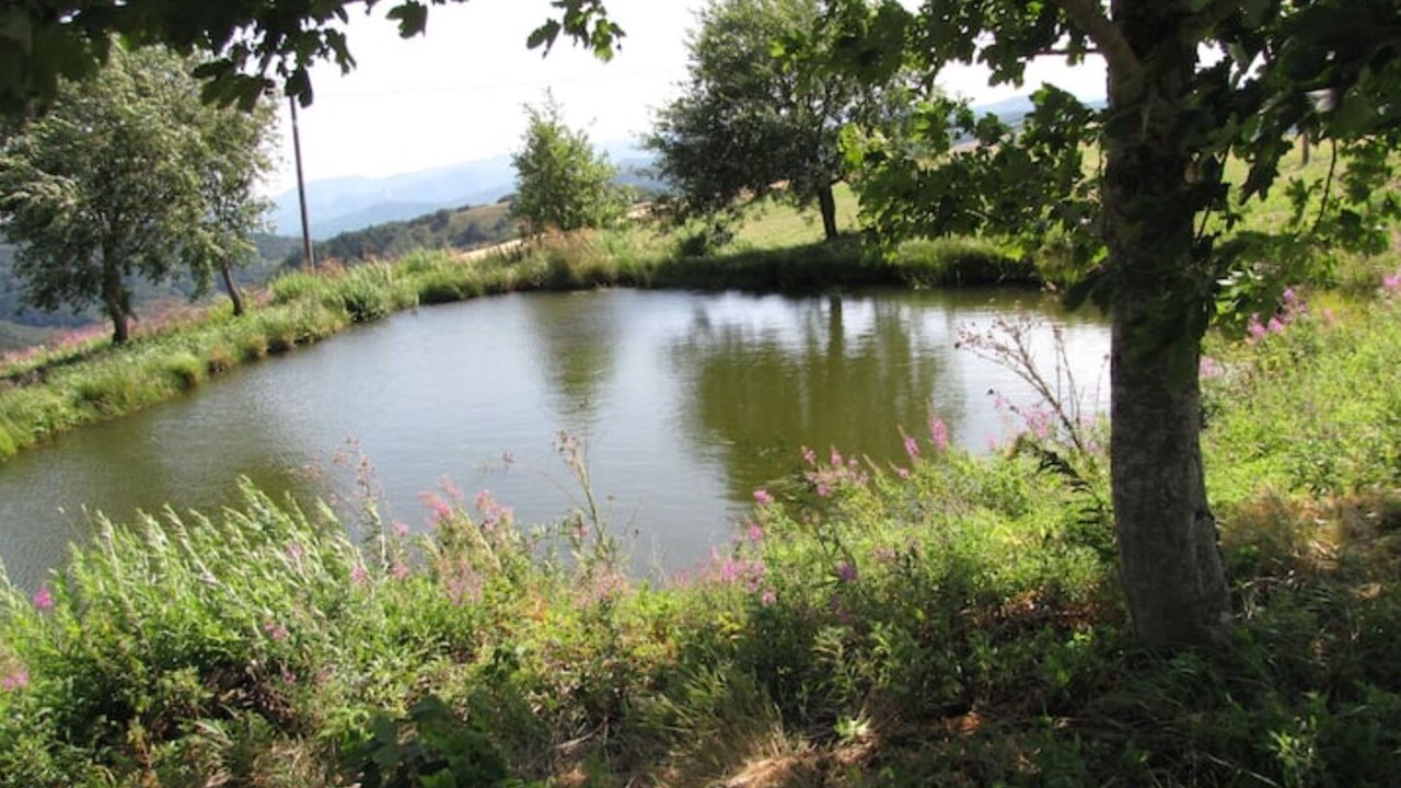 Photo of Outdoor in Lachamp-Raphael