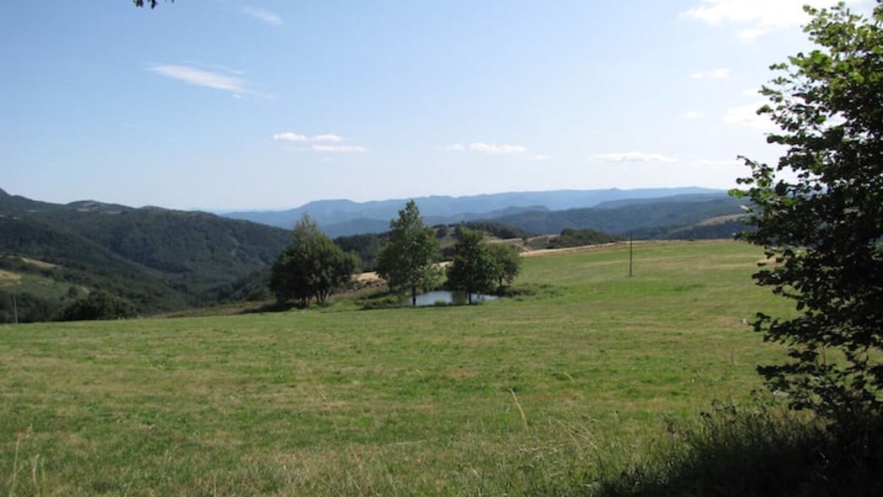 Photo of Outdoor in Lachamp-Raphael