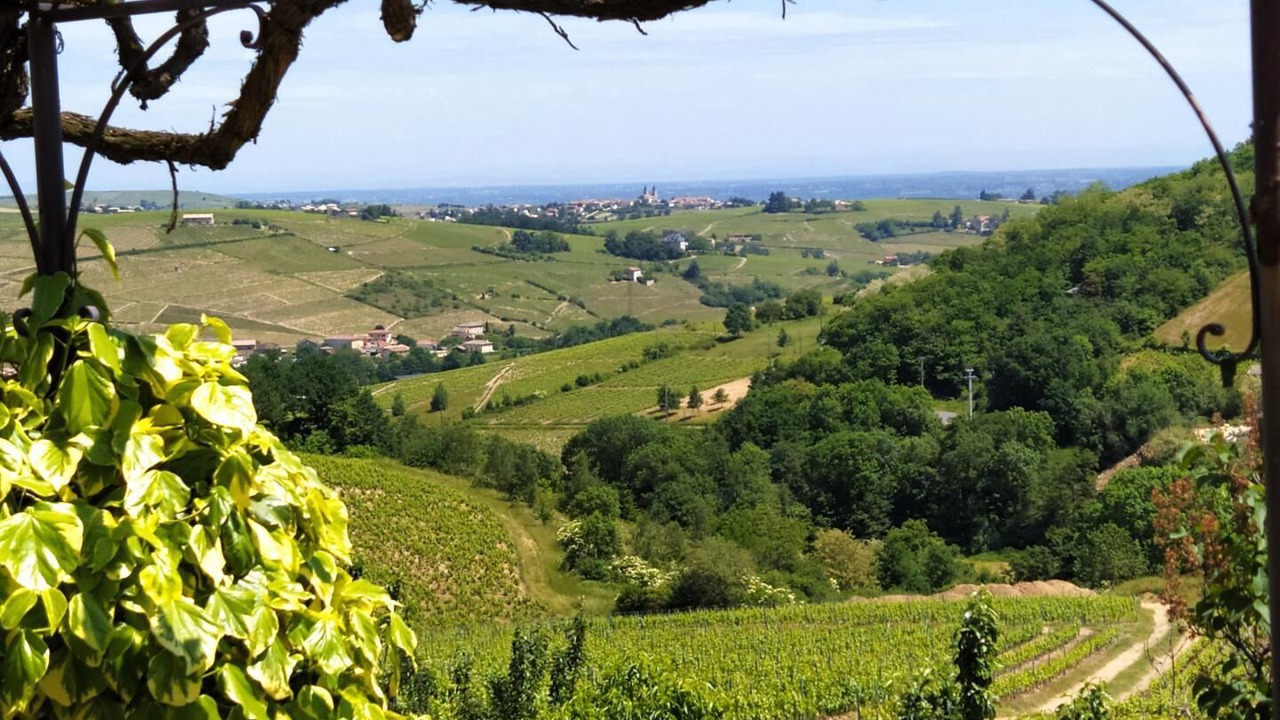 Photo of Outdoor in Quincie-en-Beaujolais