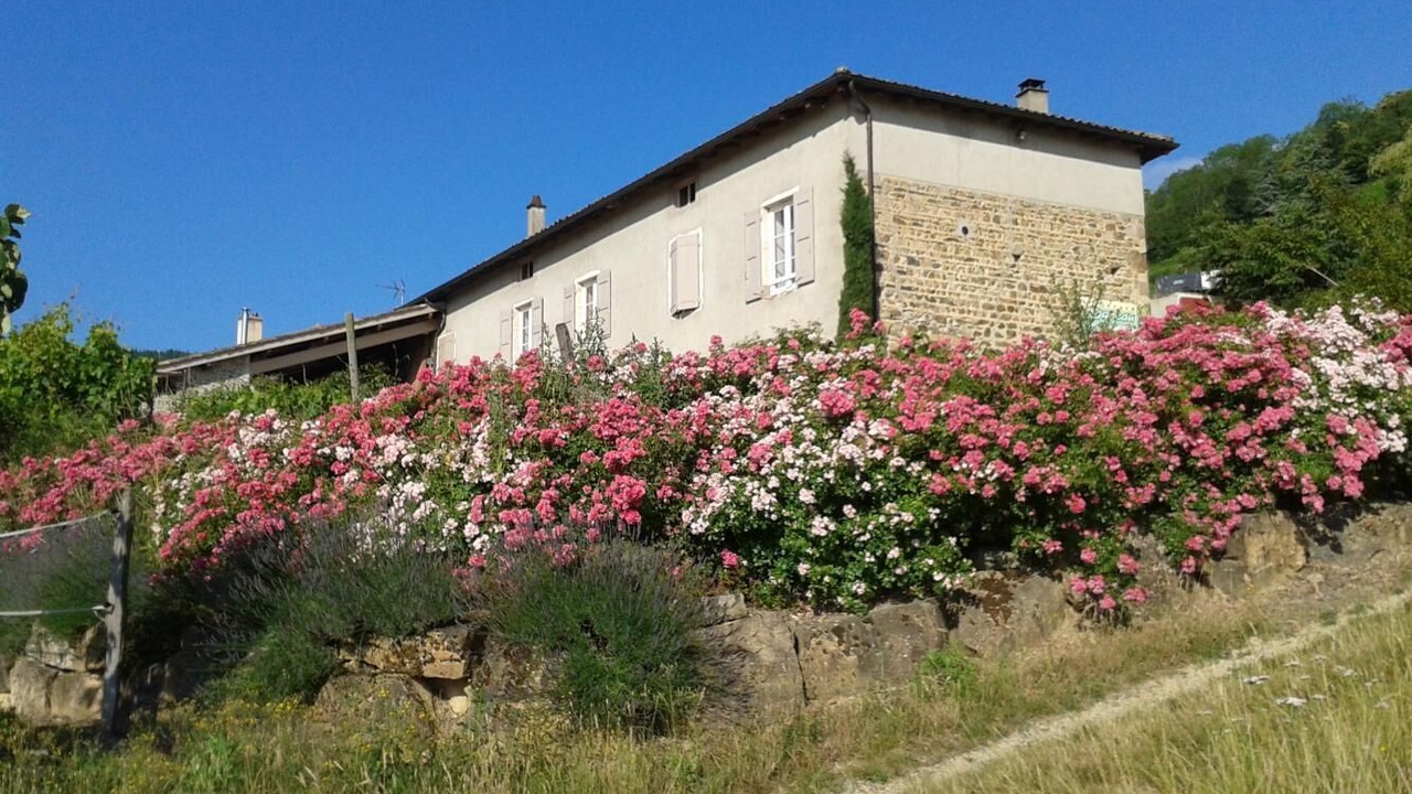 Photo of Outdoor in Quincie-en-Beaujolais