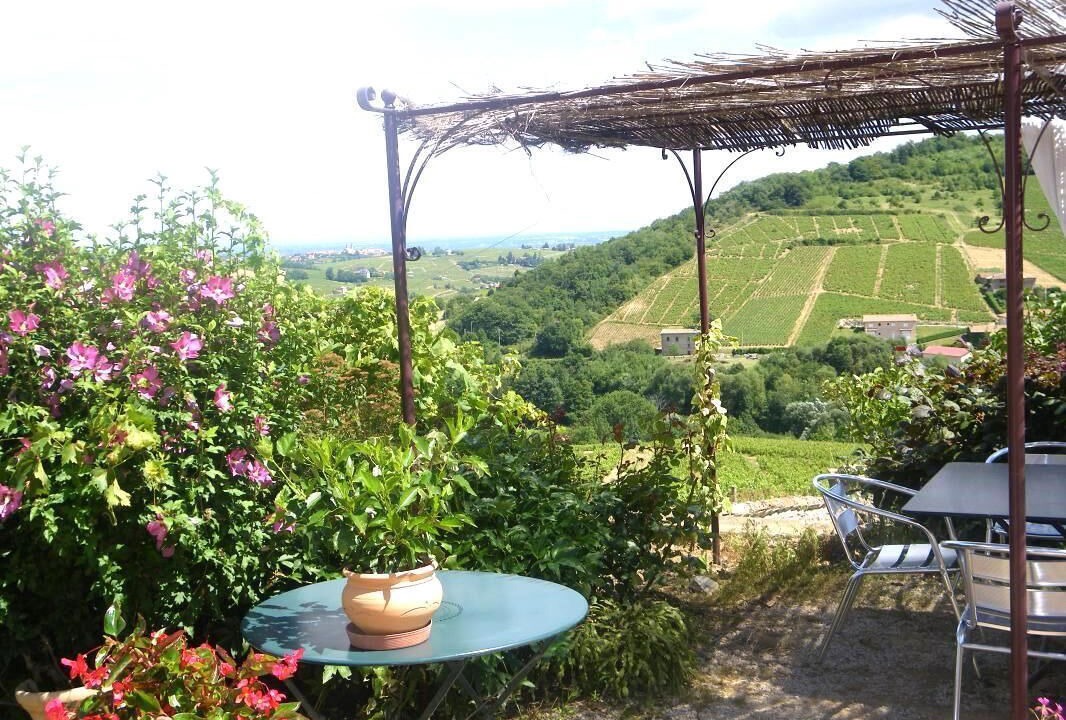 Photo of Outdoor in Quincie-en-Beaujolais