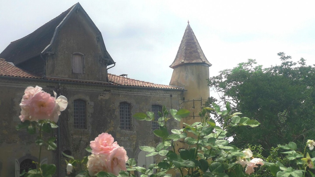 Photo of Outdoor in Eauze