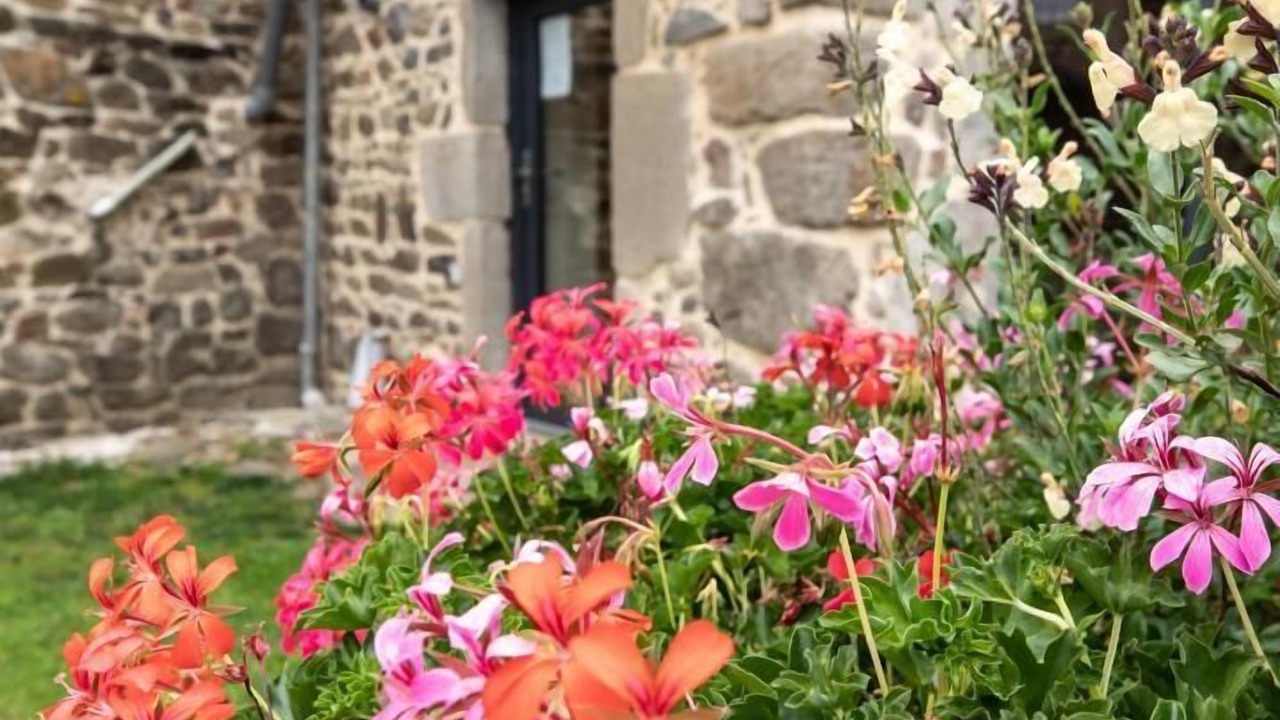 Photo of Outdoor in Manglieu