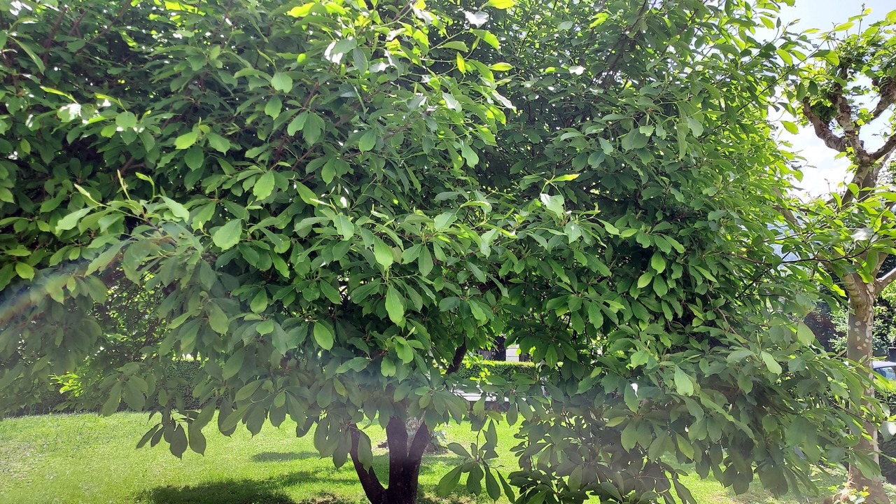 Photo of Outdoor in Vaulnaveys-le-Haut