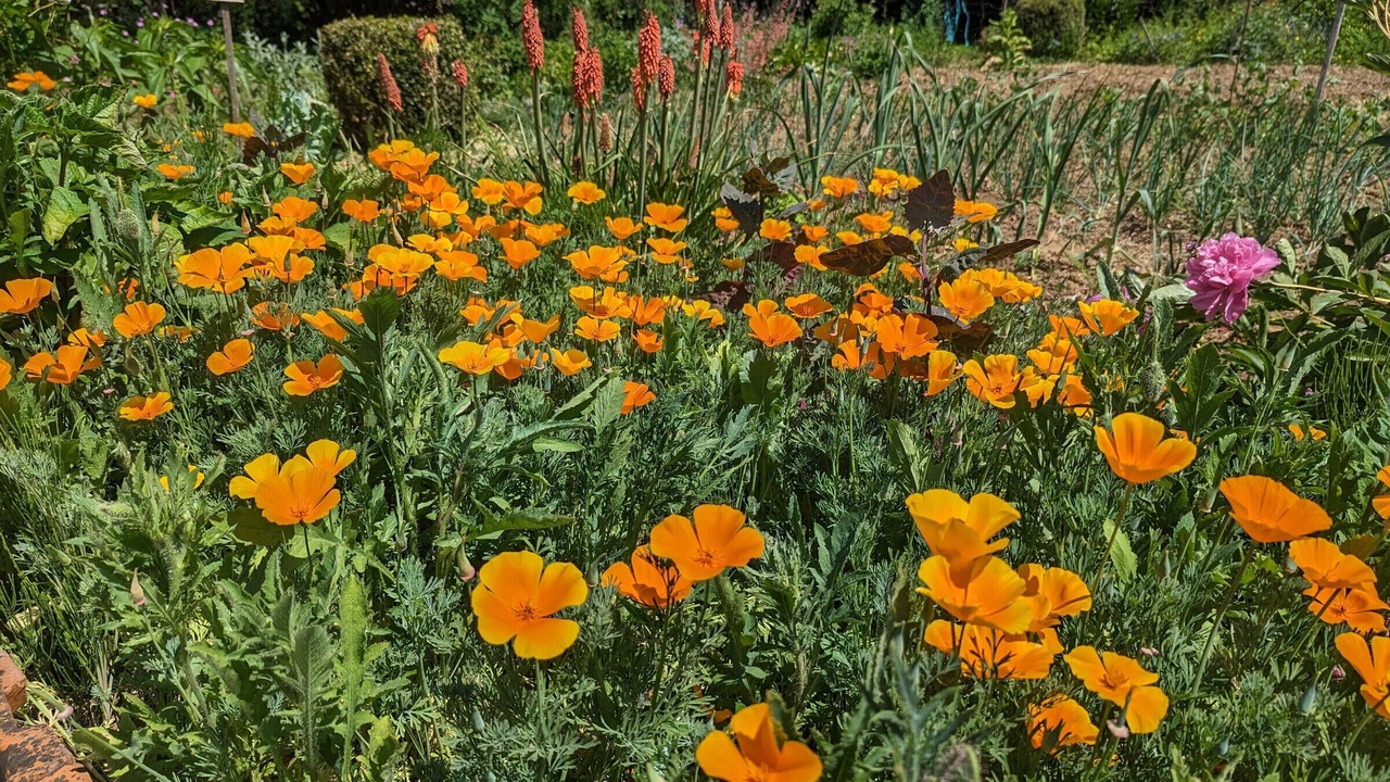 Photo of Outdoor in Forcey