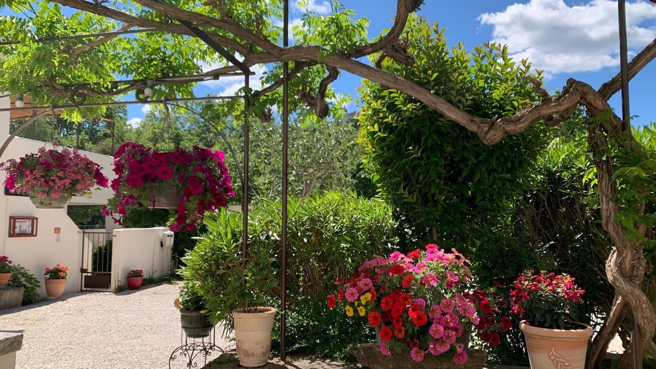 Photo of Patio Balcony in Venasque