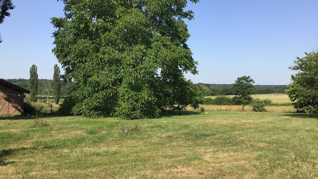 Photo of Outdoor in Froideville