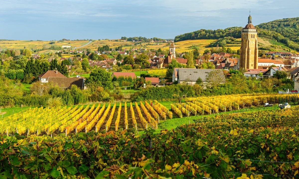 Photo of Outdoor in La Chapelle-sur-Furieuse