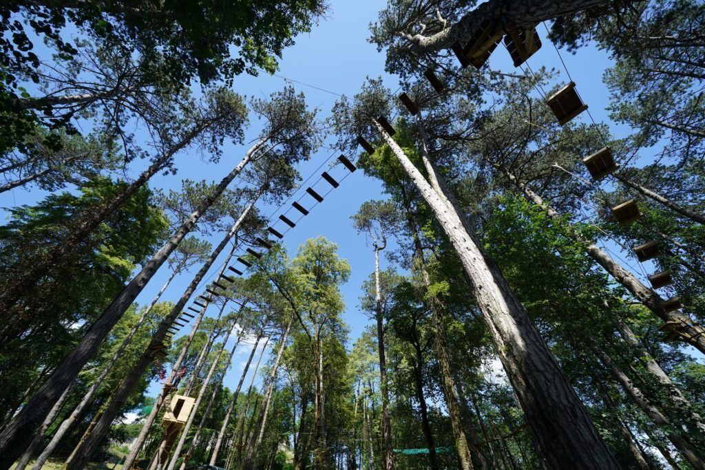 Photo of Outdoor in La Chapelle-sur-Furieuse