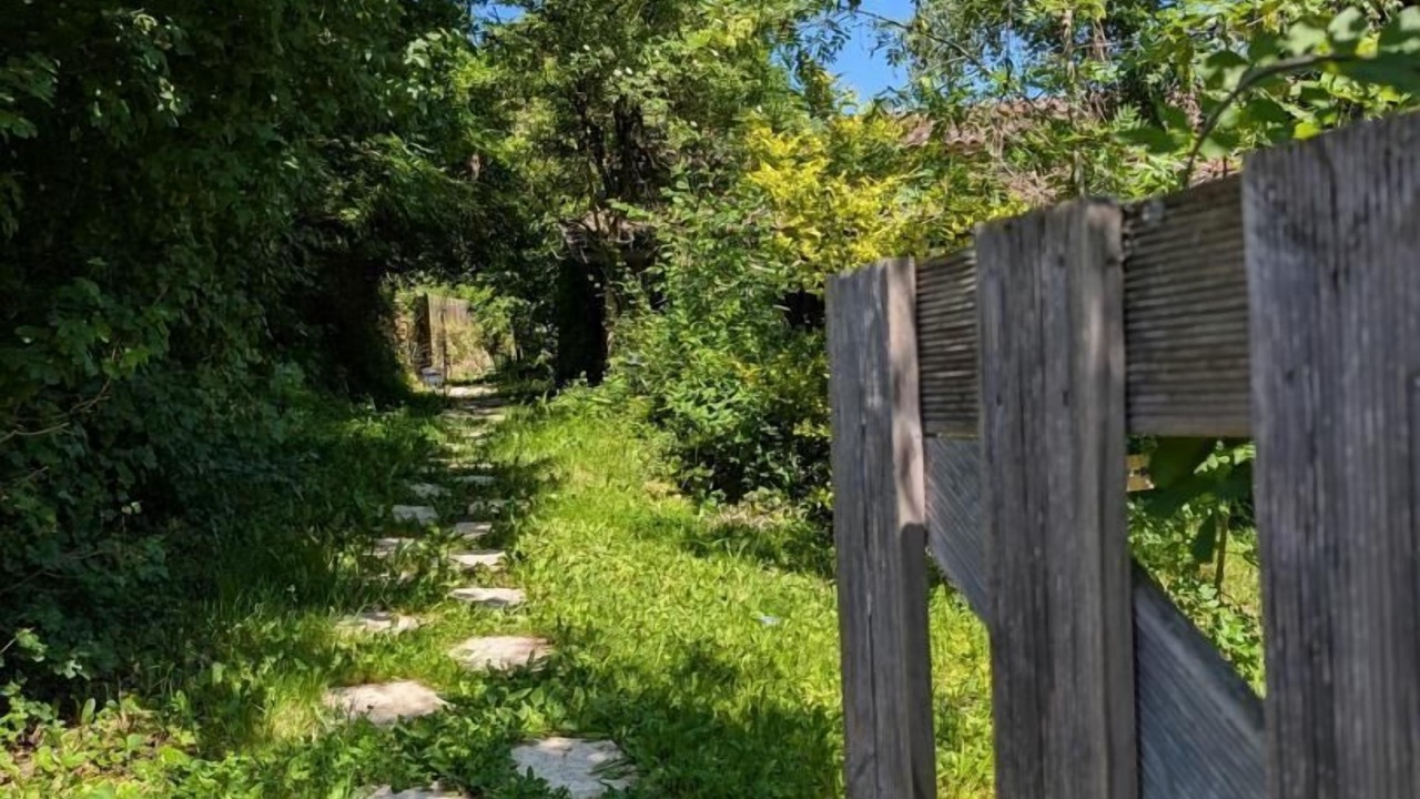 Photo of Outdoor in Vernay