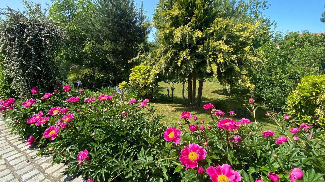 Photo of Outdoor in Lupcourt