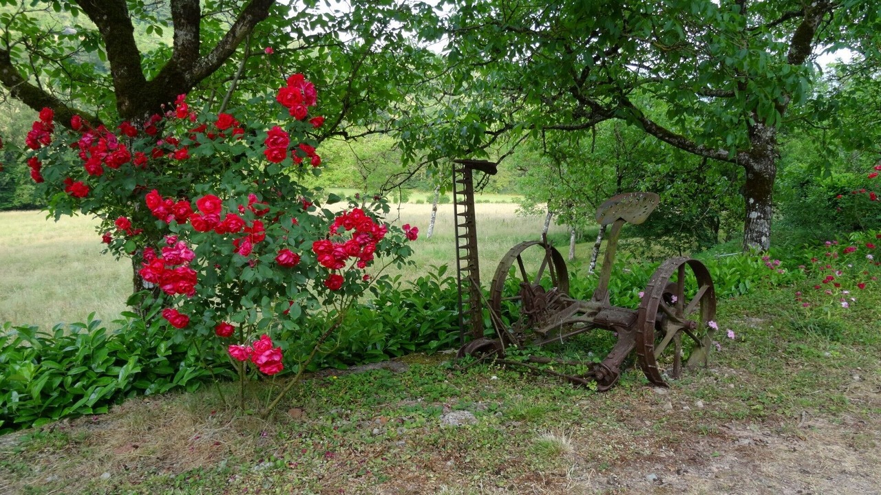 Photo of Others in Villecomtal