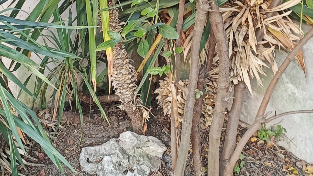 Photo of Outdoor in Serrieres