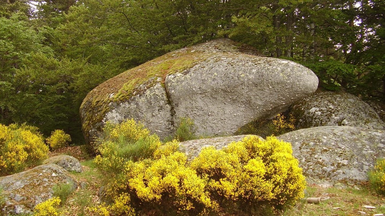 Photo of Others in Saint-Sauveur-de-Peyre