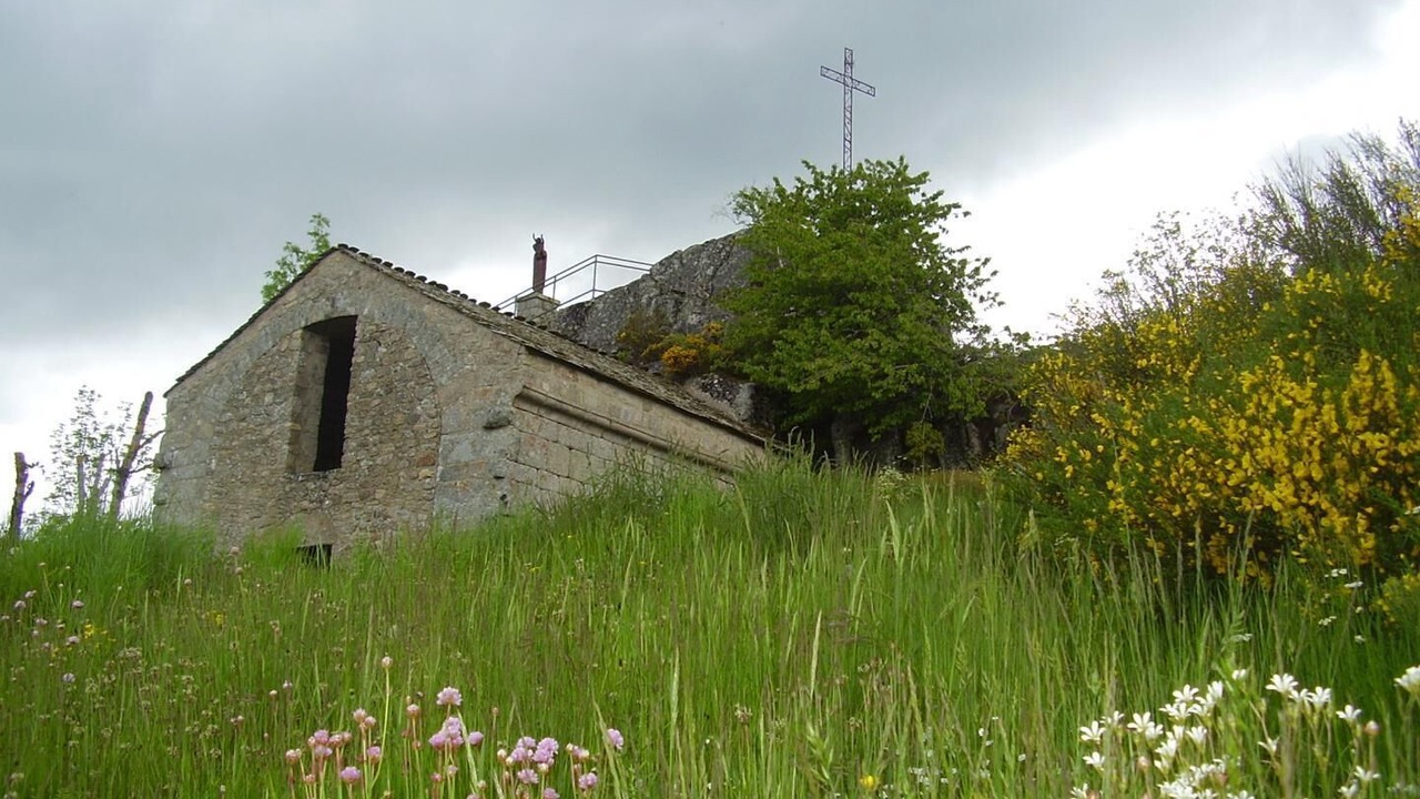 Photo of Others in Saint-Sauveur-de-Peyre