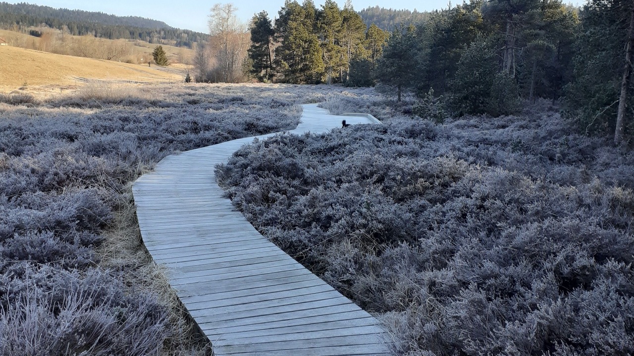 Photo of Outdoor in Prenovel