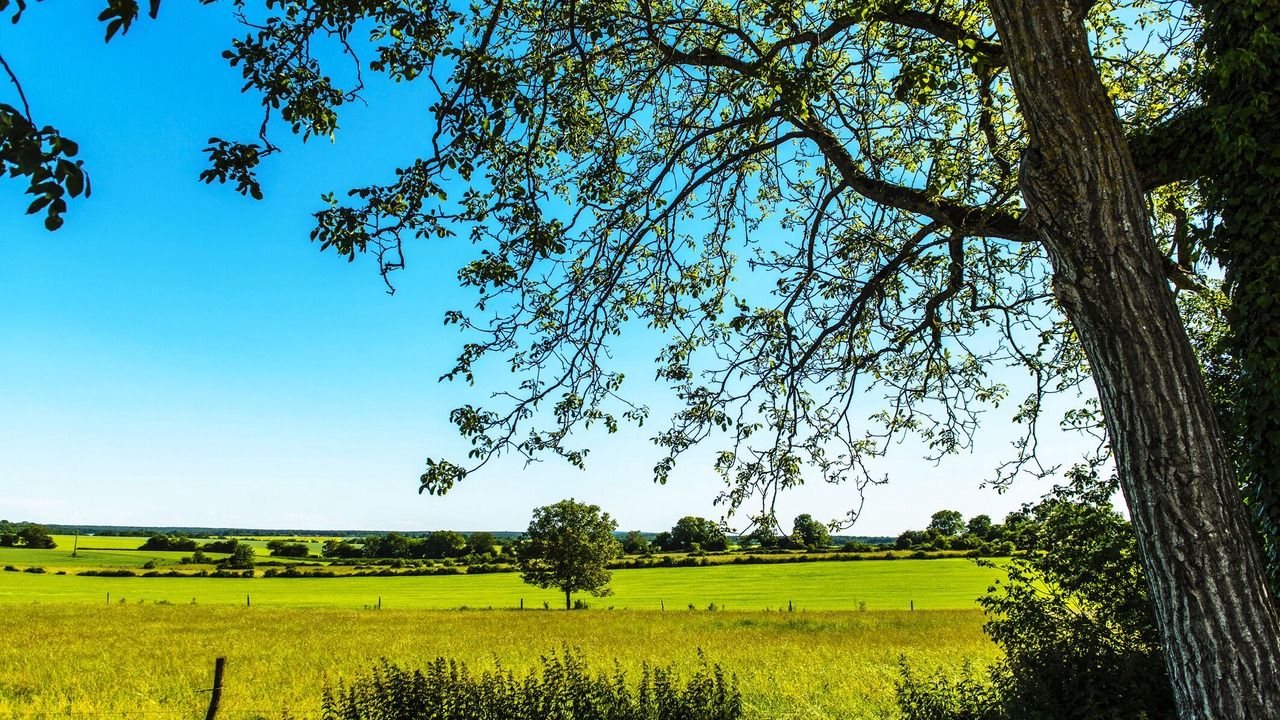 Photo of Outdoor in Etais-la-Sauvin