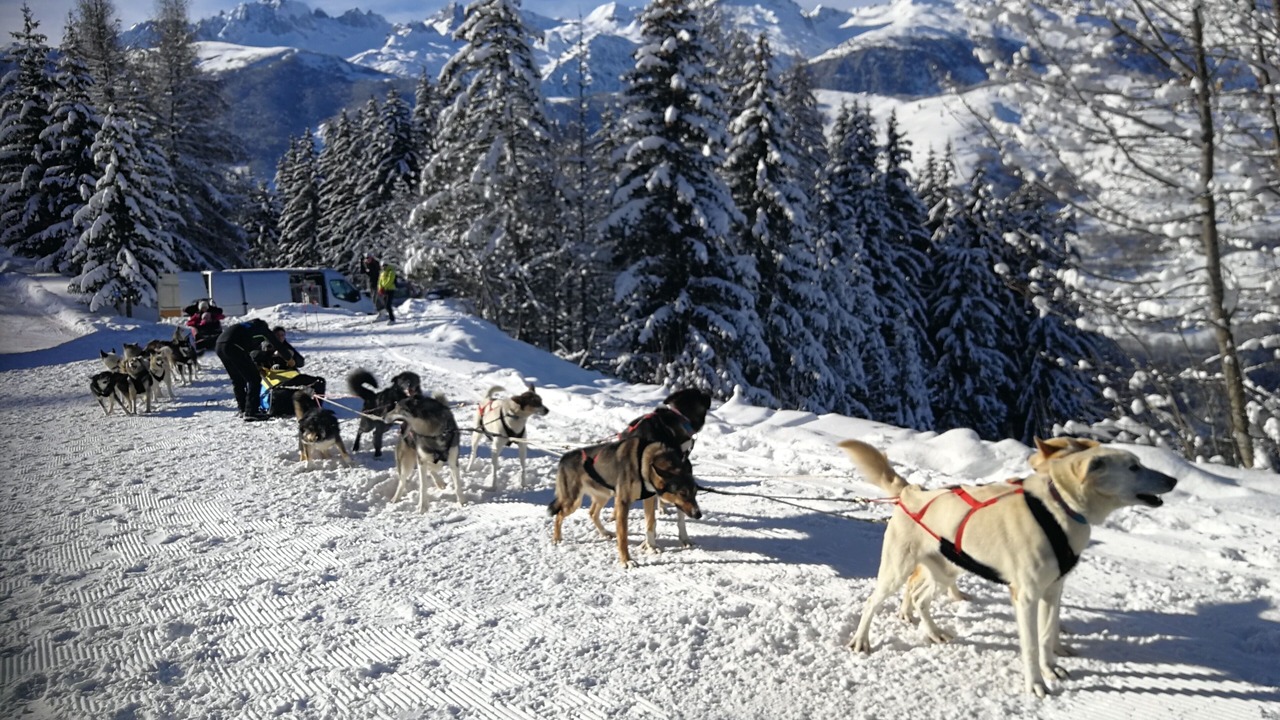 Photo of Others in Valmorel