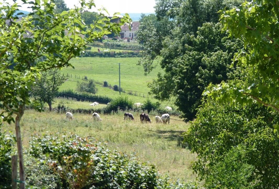 Photo of Outdoor in Curgy