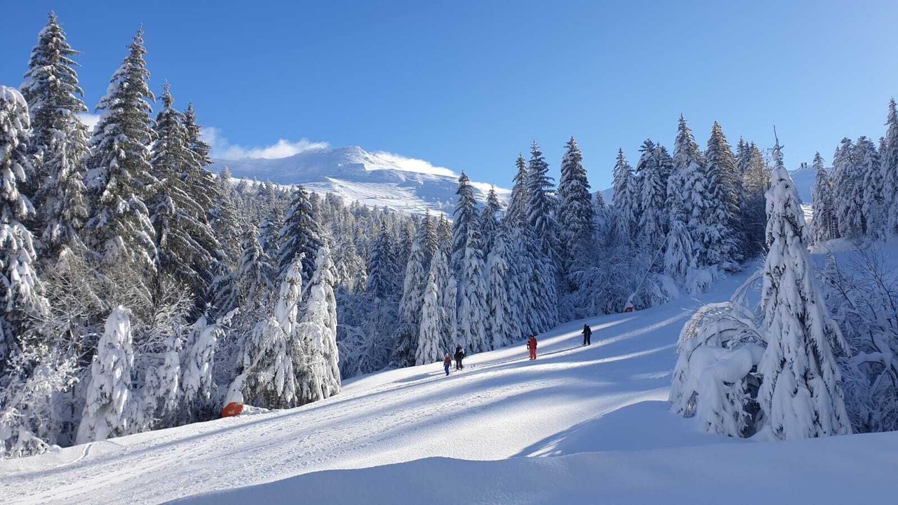 Photo of Others in Laveissiere