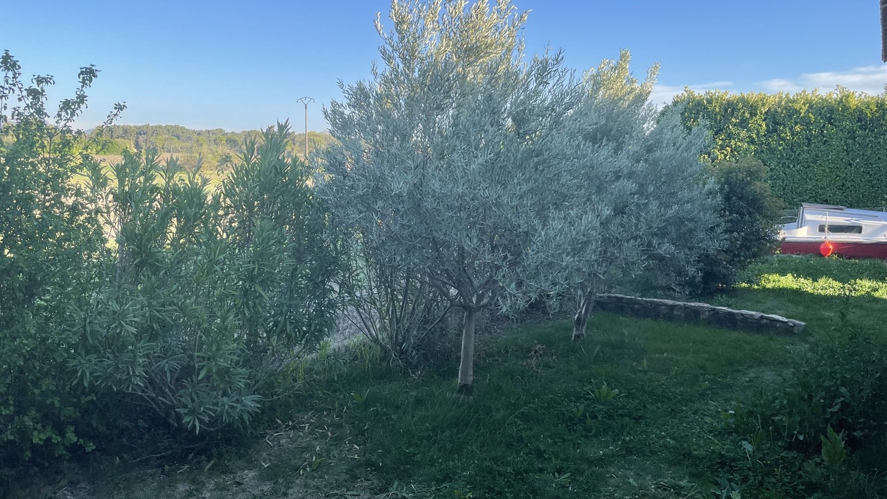 Photo of Outdoor in Sainte-Cecile-les-Vignes
