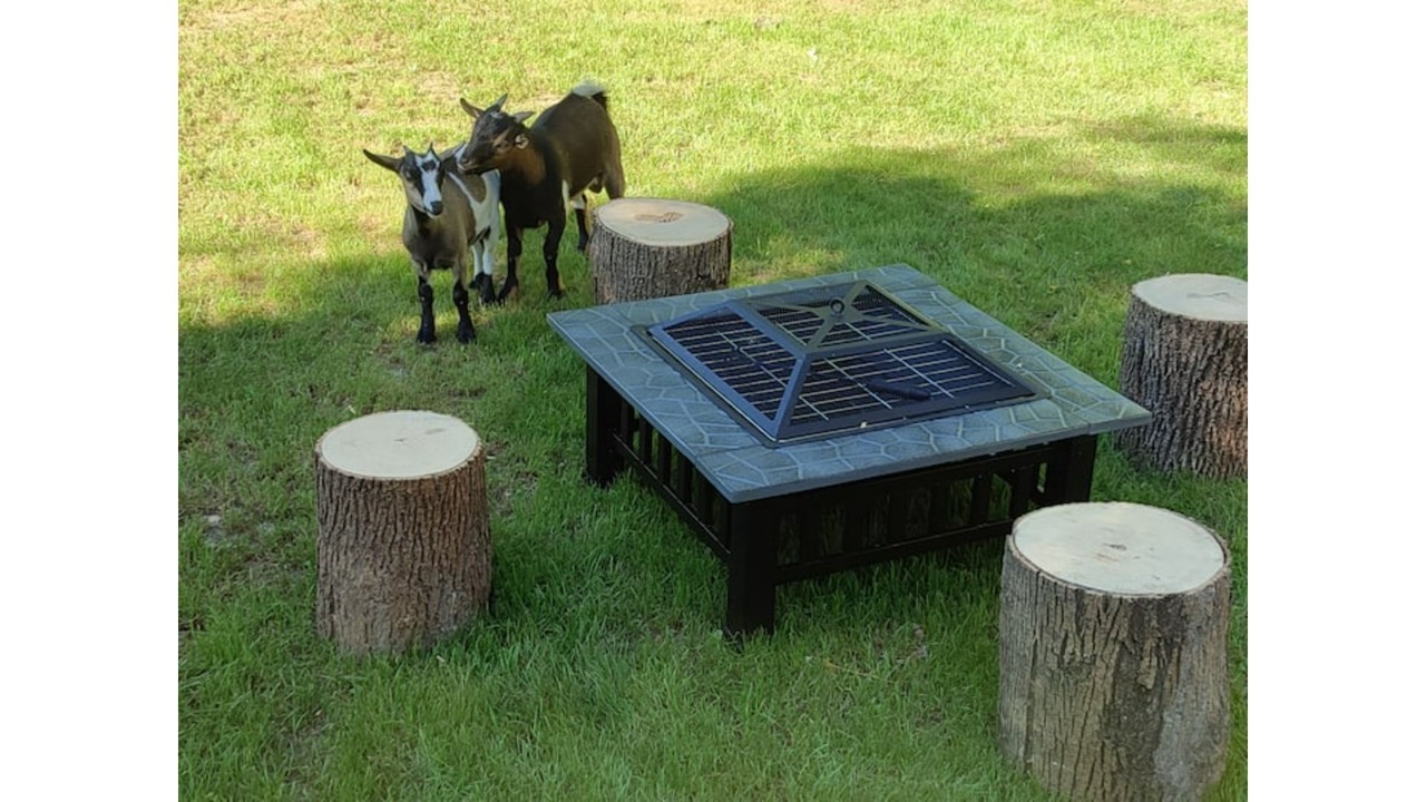 Photo of Outdoor in Contigny