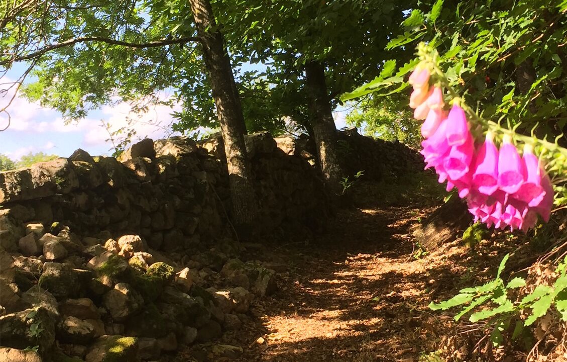 Photo of Outdoor in Creysseilles