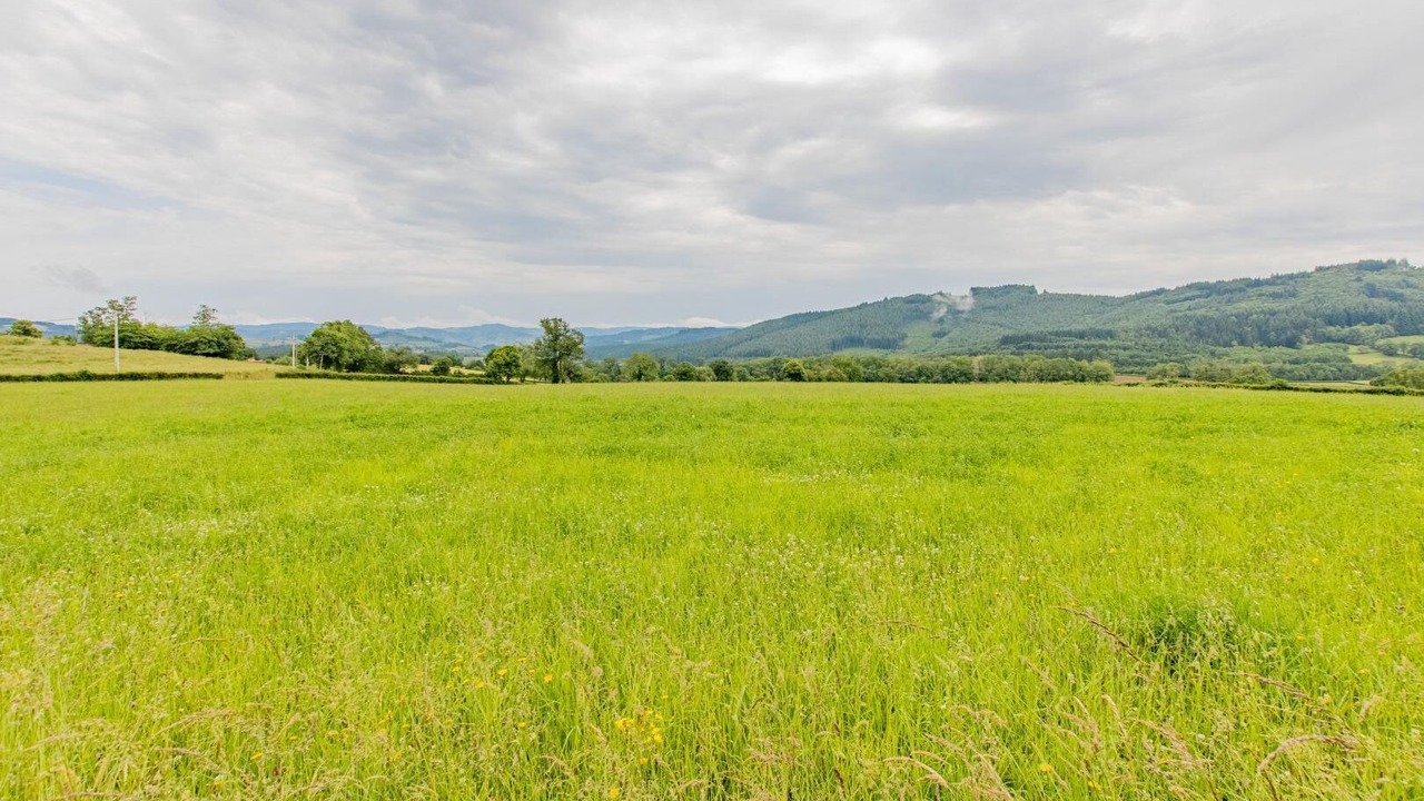 Photo of Others in Dompierre-les-Ormes