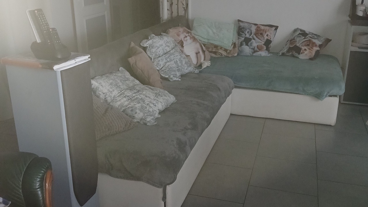 Photo of Livingroom in Crest
