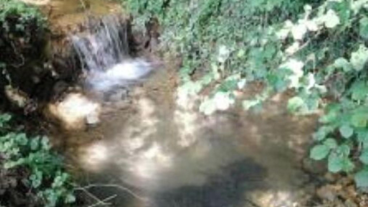 Photo of Outdoor in Champagnat