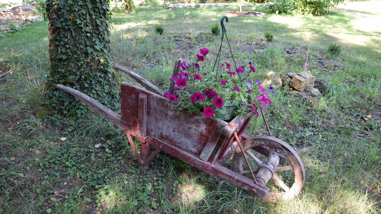 Photo of Outdoor in Champagnat