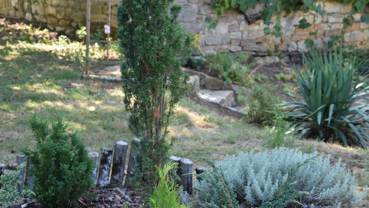 Photo of Outdoor in Champagnat