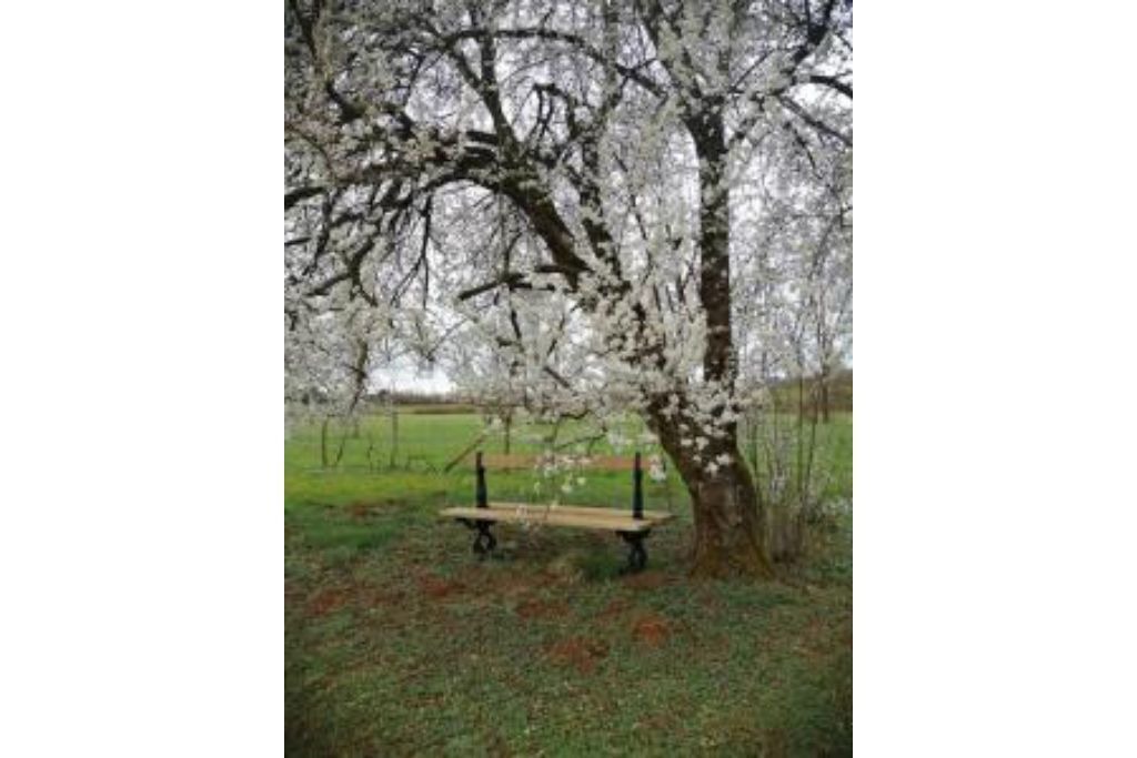 Photo of Outdoor in Champagnat