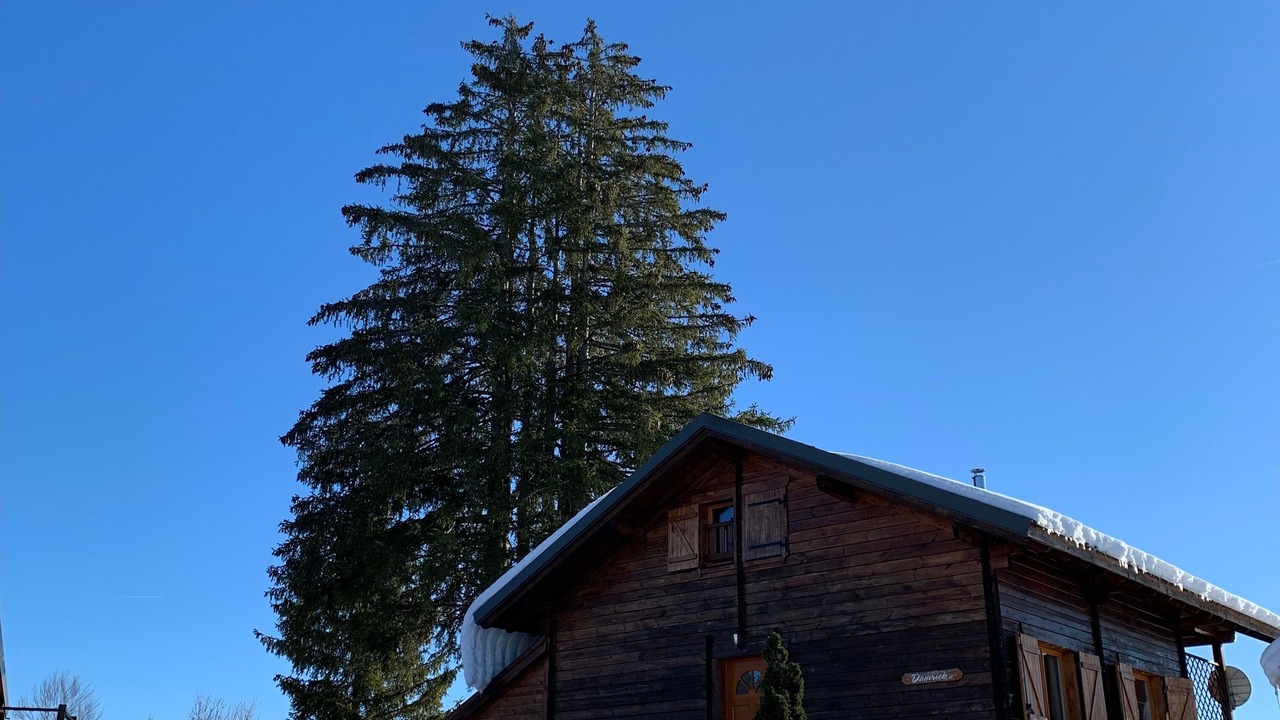 Photo of Outdoor in Saint-Laurent-en-Grandvaux
