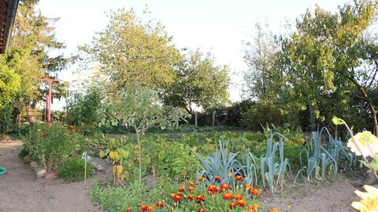 Photo of Outdoor in Saint-Martin-en-Bresse