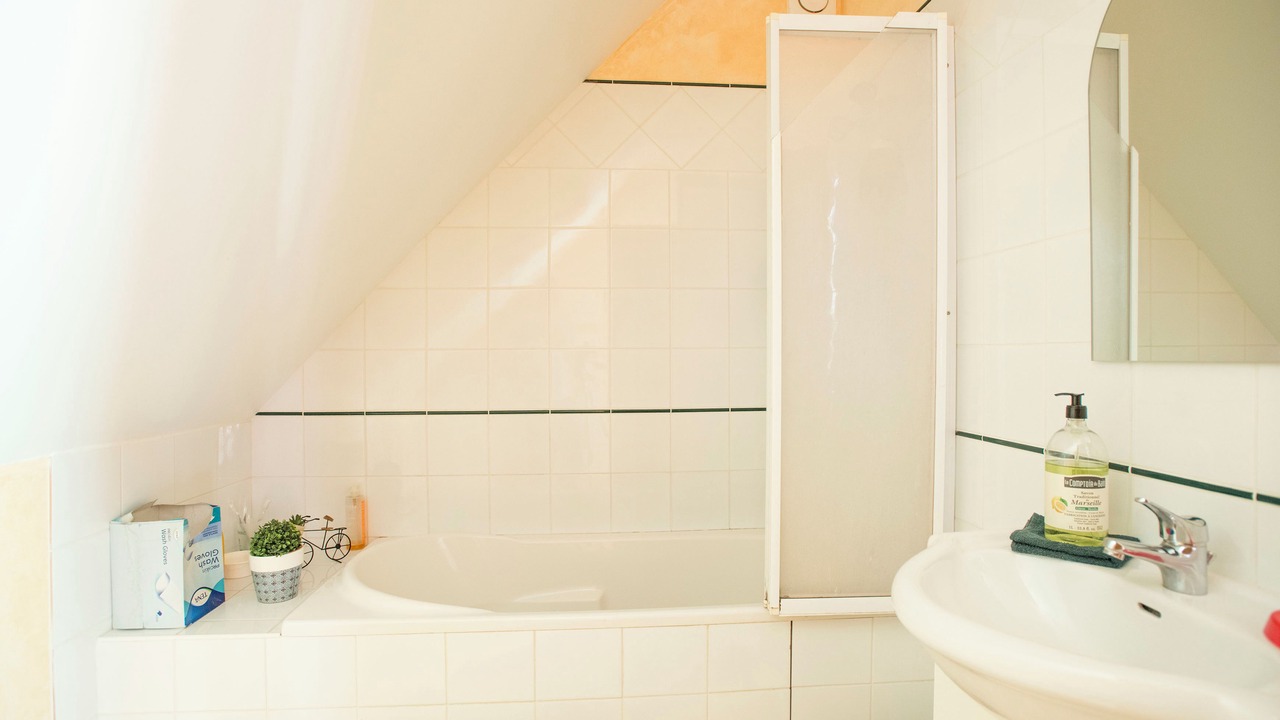 Photo of Bathroom in Saint-Martin-en-Bresse